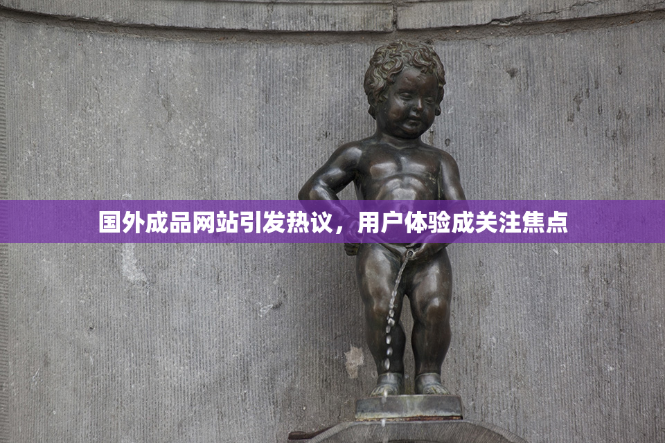 国外成品网站引发热议，用户体验成关注焦点