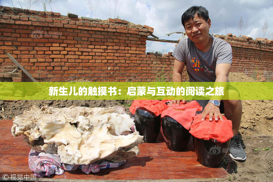 新生儿的触摸书：启蒙与互动的阅读之旅