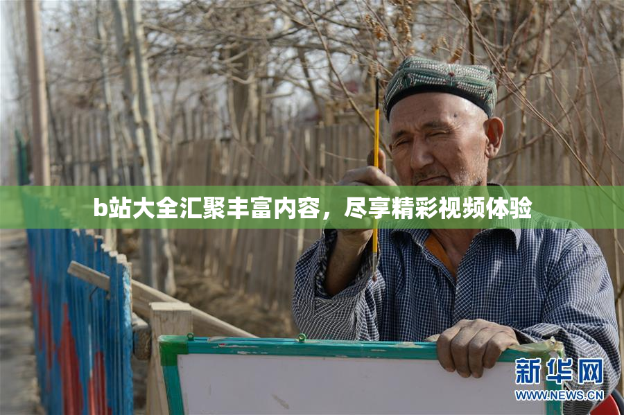 b站大全汇聚丰富内容，尽享精彩视频体验