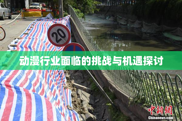动漫行业面临的挑战与机遇探讨