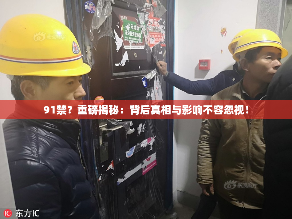 91禁？重磅揭秘：背后真相与影响不容忽视！