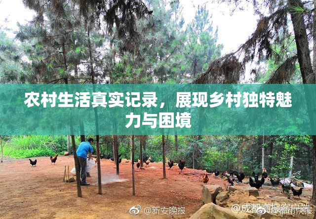 农村生活真实记录，展现乡村独特魅力与困境