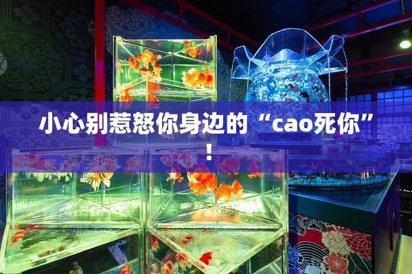 小心别惹怒你身边的“cao死你”！