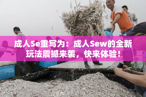 成人Se重写为：成人Sew的全新玩法震撼来袭，快来体验！