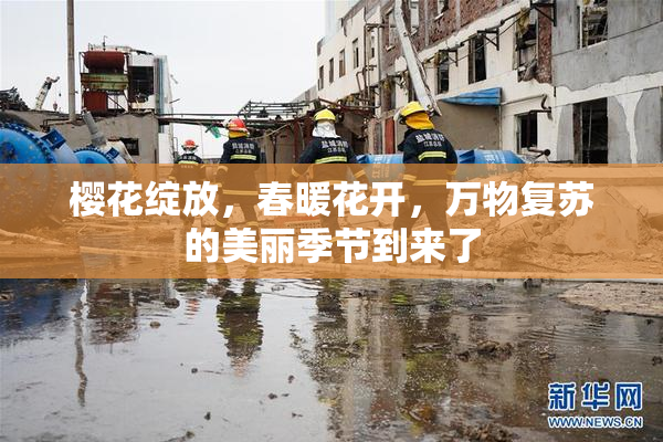 樱花绽放，春暖花开，万物复苏的美丽季节到来了