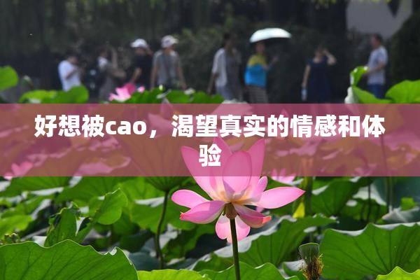 好想被cao，渴望真实的情感和体验