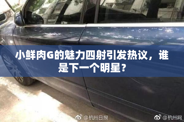 小鲜肉G的魅力四射引发热议，谁是下一个明星？