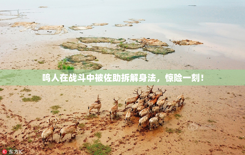 鸣人在战斗中被佐助拆解身法，惊险一刻！
