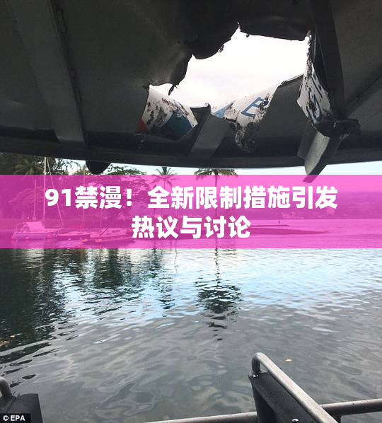 91禁漫！全新限制措施引发热议与讨论