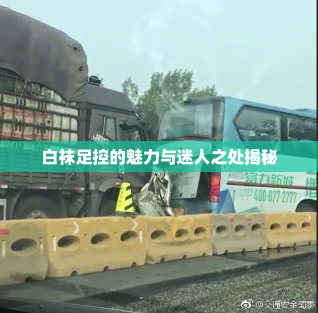 白袜足控的魅力与迷人之处揭秘