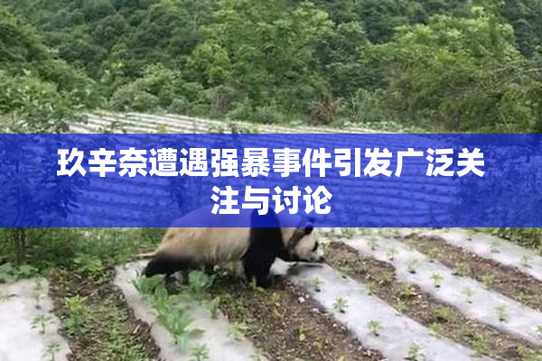 玖辛奈遭遇强暴事件引发广泛关注与讨论