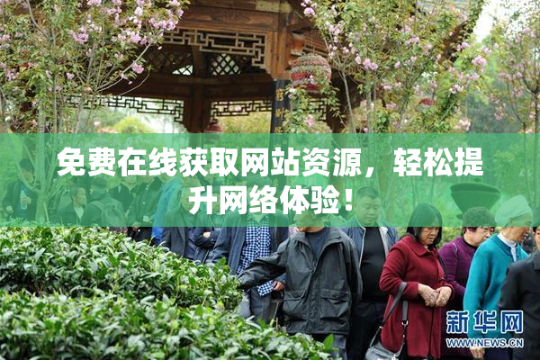 免费在线获取网站资源，轻松提升网络体验！