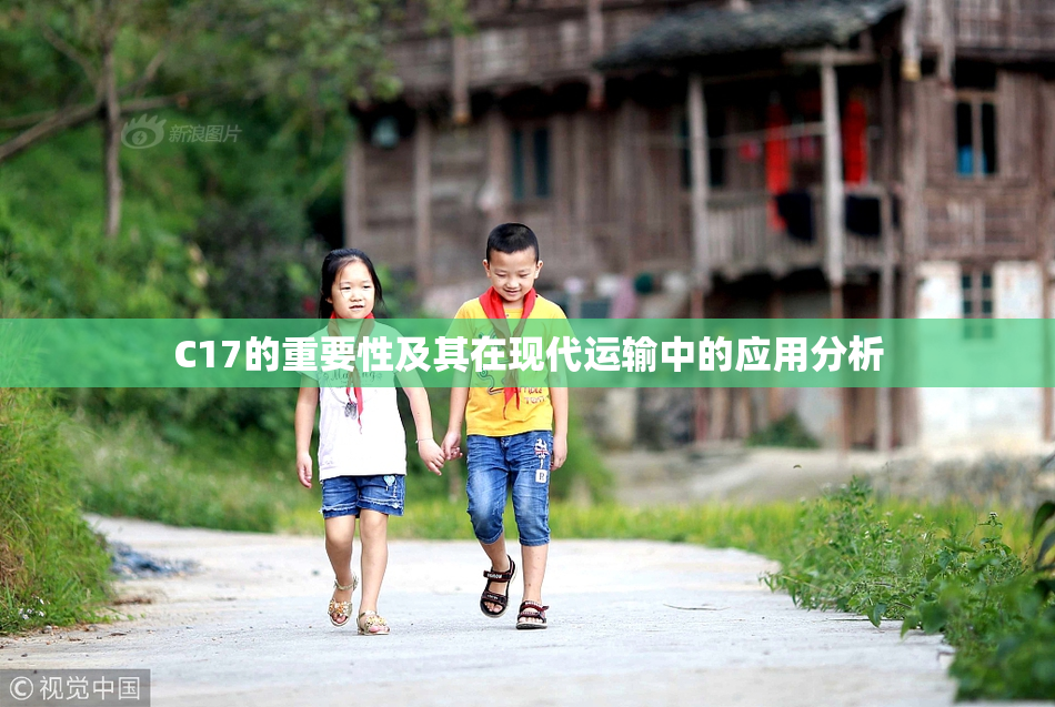 C17的重要性及其在现代运输中的应用分析