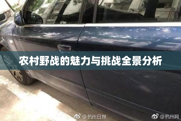 农村野战的魅力与挑战全景分析