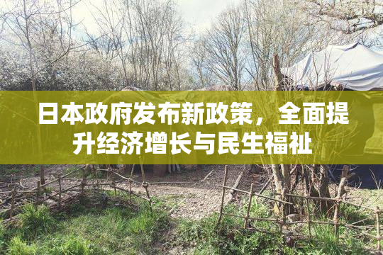 日本政府发布新政策，全面提升经济增长与民生福祉