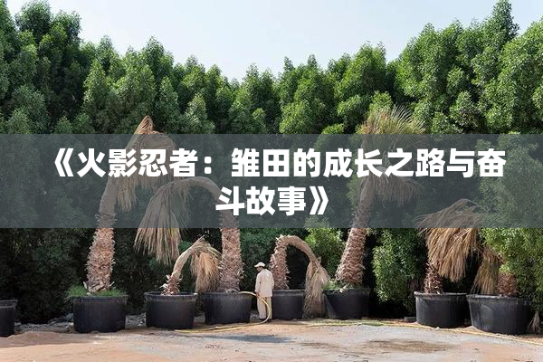 《火影忍者：雏田的成长之路与奋斗故事》