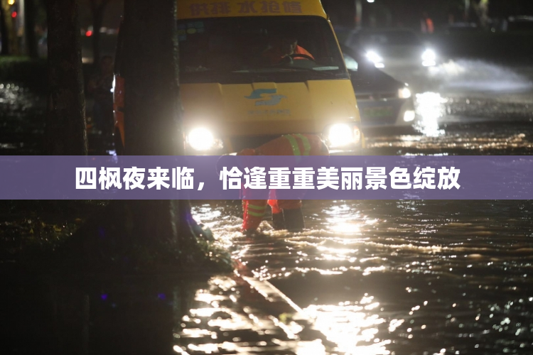 四枫夜来临，恰逢重重美丽景色绽放