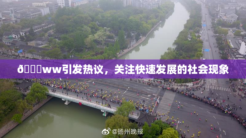 🔞ww引发热议，关注快速发展的社会现象