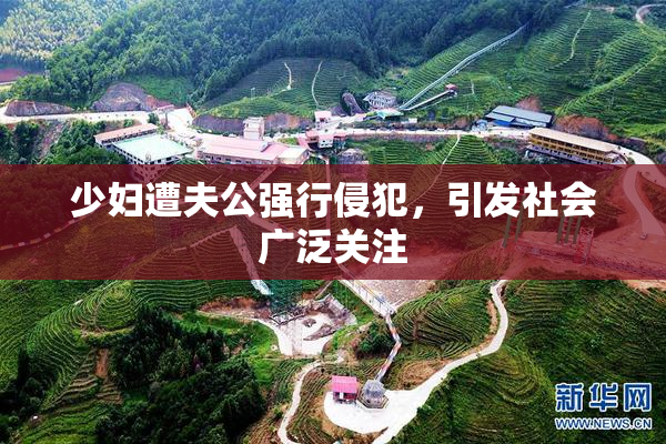 少妇遭夫公强行侵犯，引发社会广泛关注