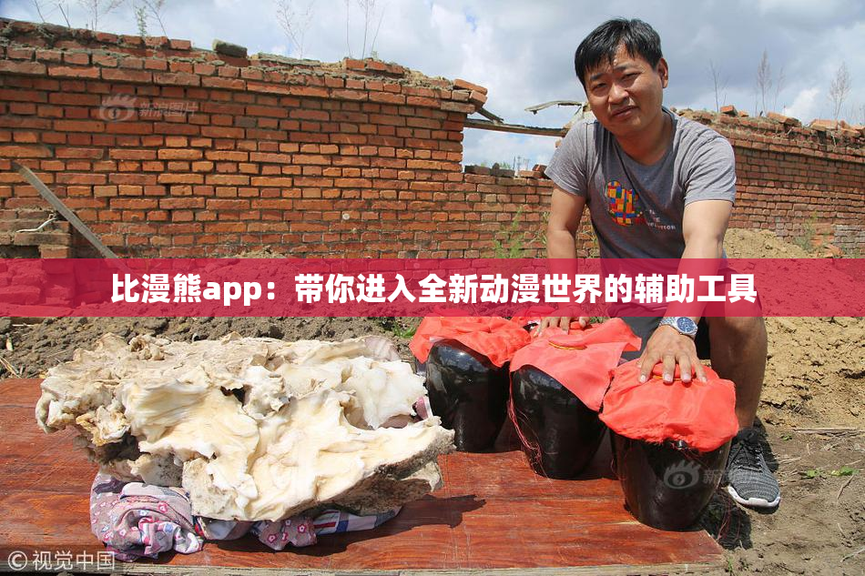 比漫熊app：带你进入全新动漫世界的辅助工具