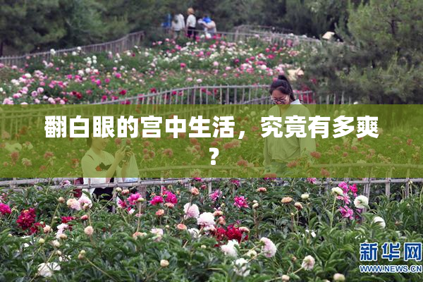 翻白眼的宫中生活，究竟有多爽？