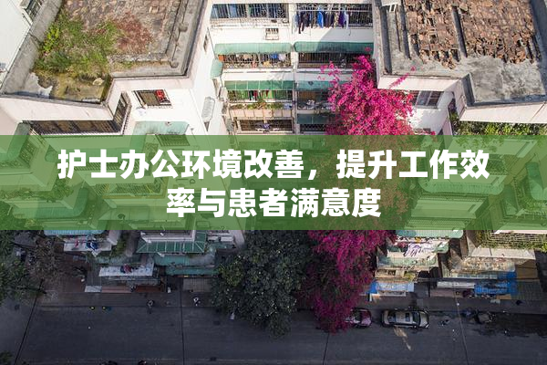 护士办公环境改善，提升工作效率与患者满意度