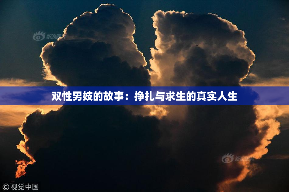 双性男妓的故事：挣扎与求生的真实人生