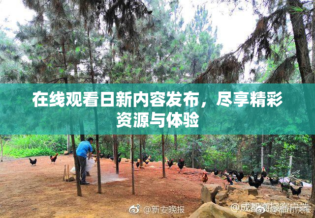 在线观看日新内容发布，尽享精彩资源与体验