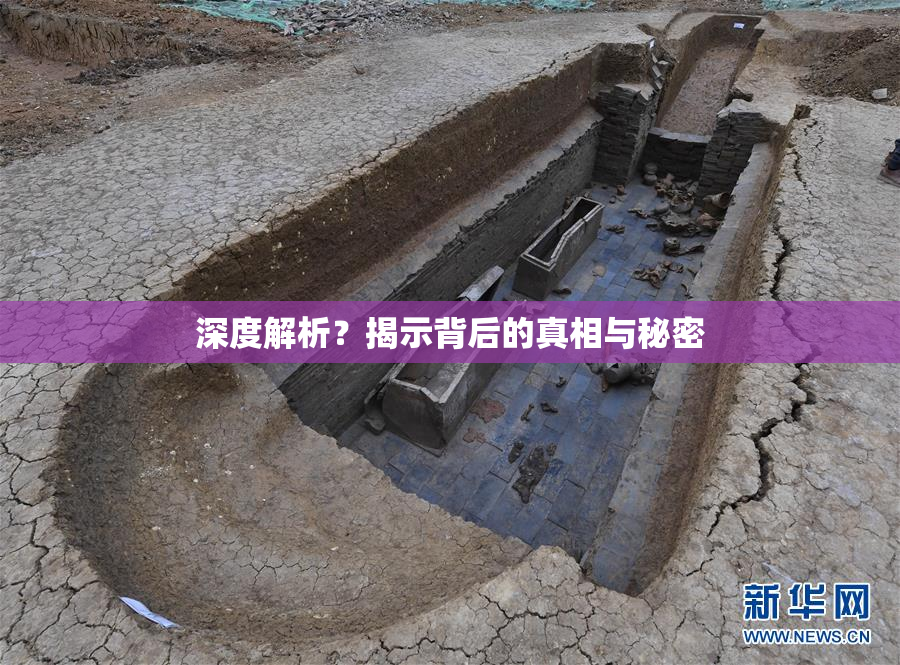 深度解析？揭示背后的真相与秘密