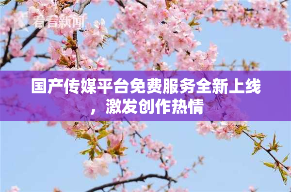 国产传媒平台免费服务全新上线，激发创作热情
