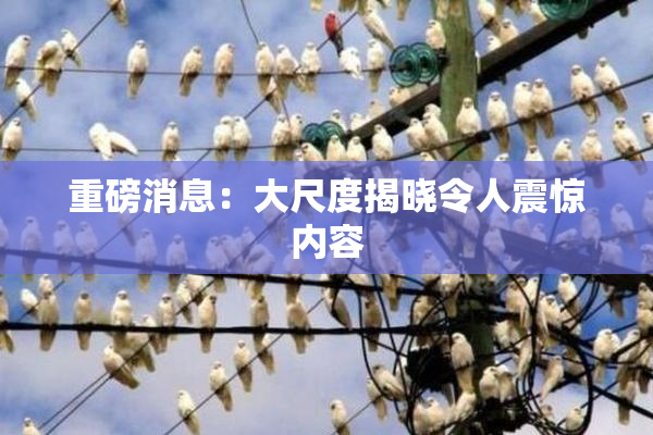 重磅消息：大尺度揭晓令人震惊内容