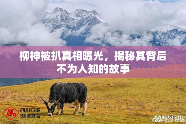 柳神被扒真相曝光，揭秘其背后不为人知的故事