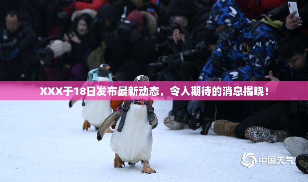 XXX于18日发布最新动态，令人期待的消息揭晓！