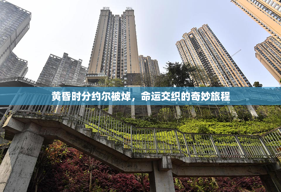 黄昏时分约尔被焯，命运交织的奇妙旅程