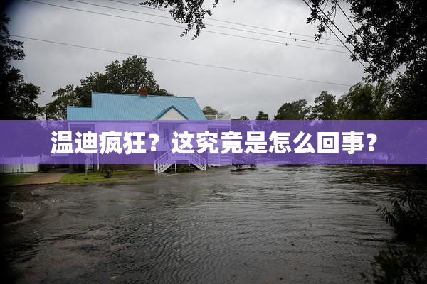 温迪疯狂？这究竟是怎么回事？