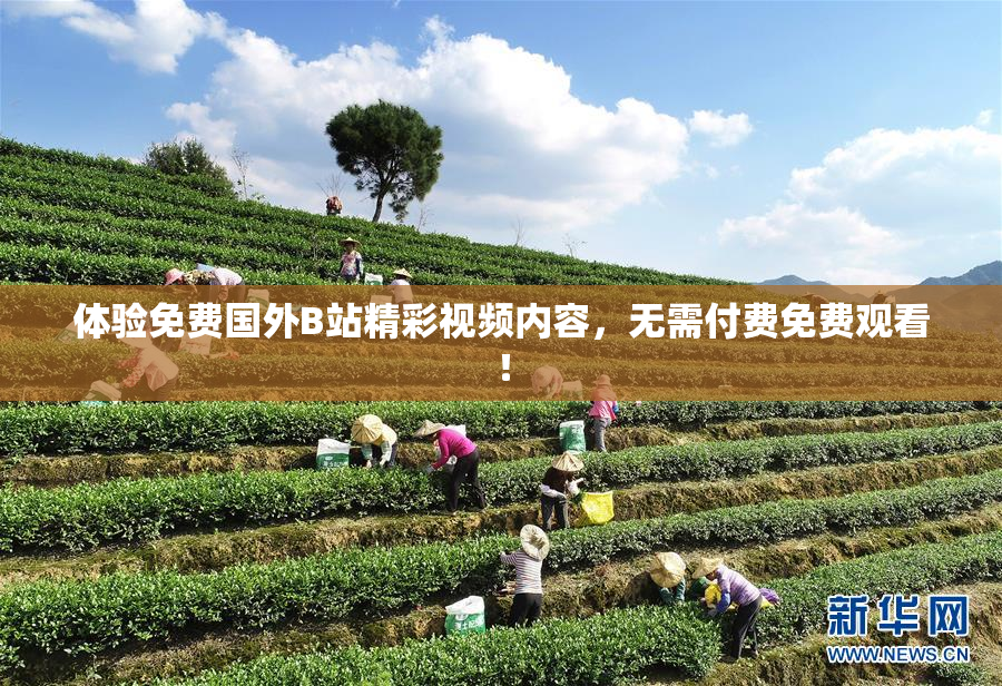 体验免费国外B站精彩视频内容，无需付费免费观看！