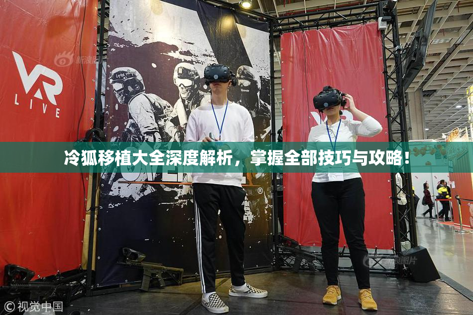 冷狐移植大全深度解析，掌握全部技巧与攻略！