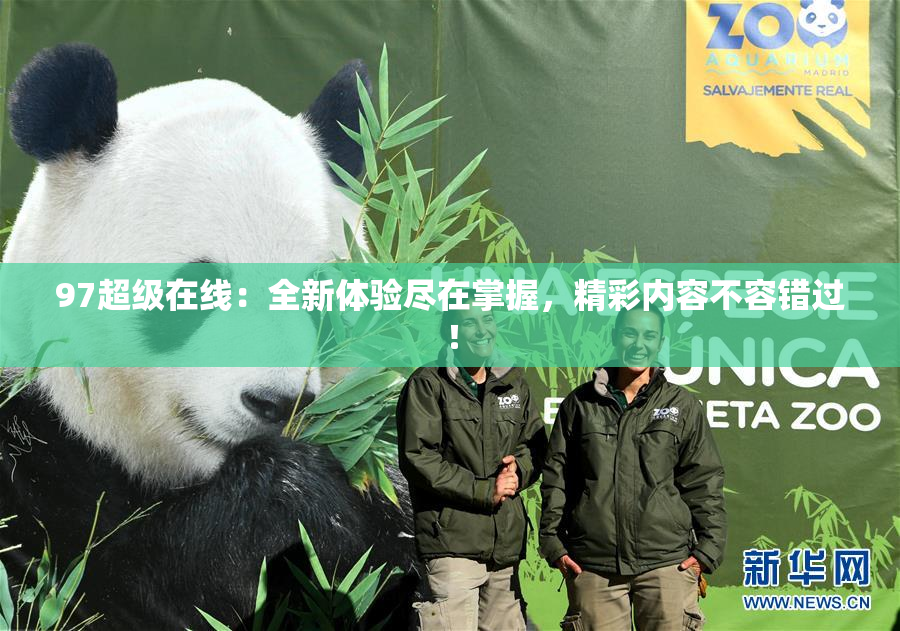97超级在线：全新体验尽在掌握，精彩内容不容错过！