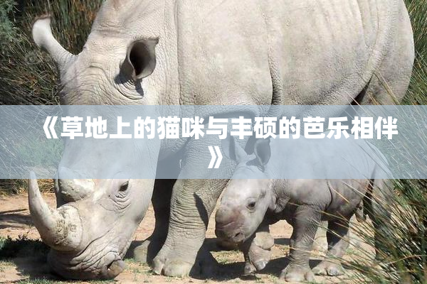 《草地上的猫咪与丰硕的芭乐相伴》