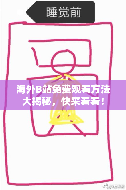 海外B站免费观看方法大揭秘，快来看看！