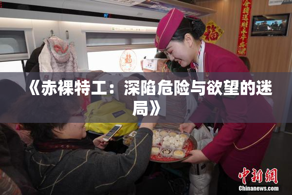 《赤裸特工：深陷危险与欲望的迷局》