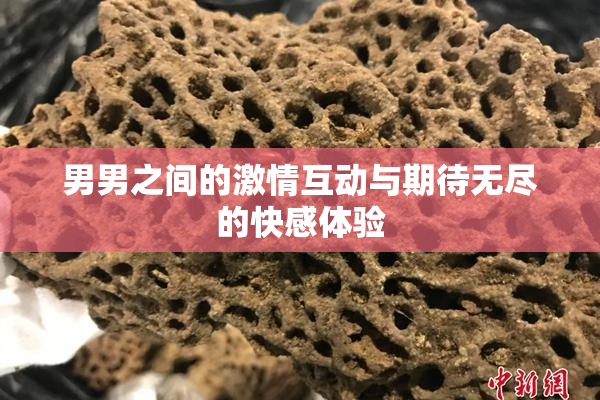 男男之间的激情互动与期待无尽的快感体验