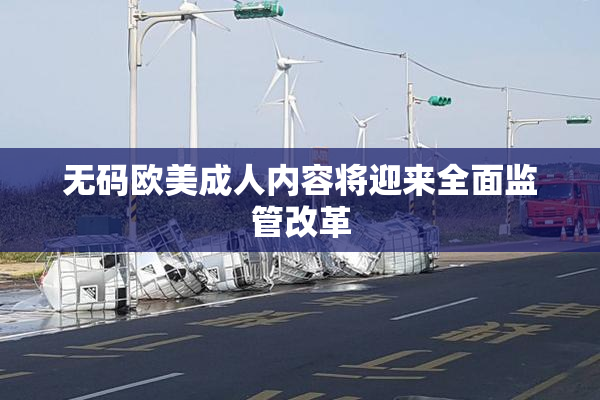 无码欧美成人内容将迎来全面监管改革