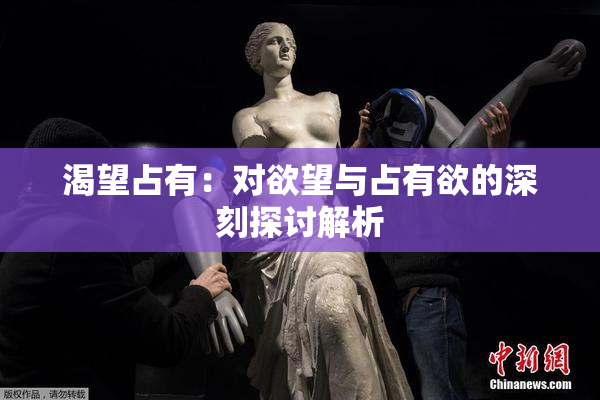 渴望占有：对欲望与占有欲的深刻探讨解析