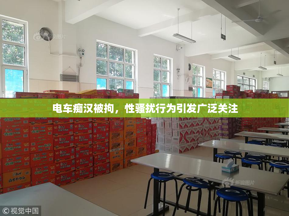 电车痴汉被拘，性骚扰行为引发广泛关注