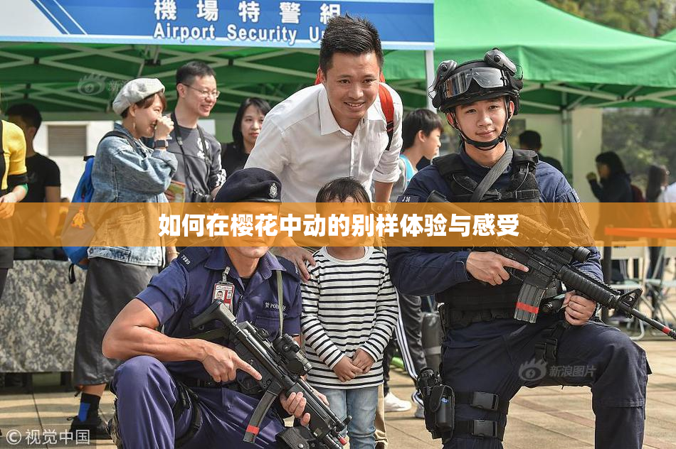 如何在樱花中动的别样体验与感受