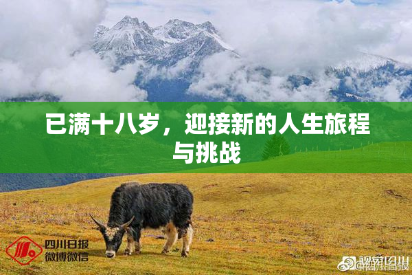 已满十八岁，迎接新的人生旅程与挑战
