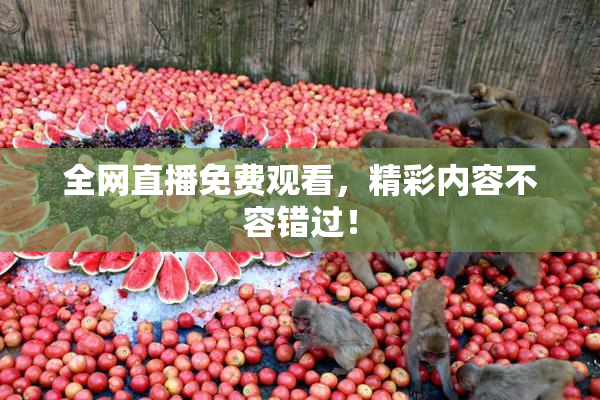 全网直播免费观看，精彩内容不容错过！