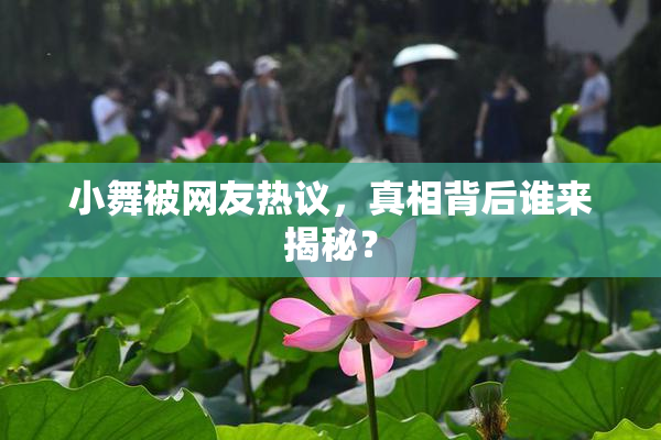 小舞被网友热议，真相背后谁来揭秘？