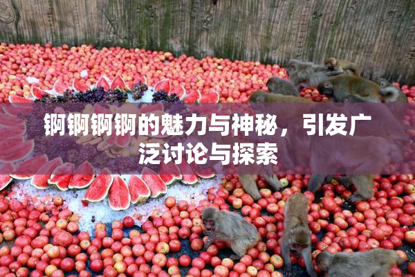 锕锕锕锕的魅力与神秘，引发广泛讨论与探索